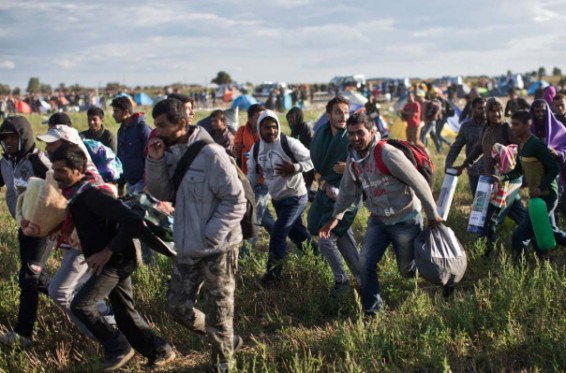 Իսպանիան ամենամեծ միգրացիոն ճնշումն է զգում, հայտնել են Եվրամիությունում