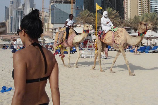 ԱՄԷ-ում «մեղքի հարկ» է սահմանվել