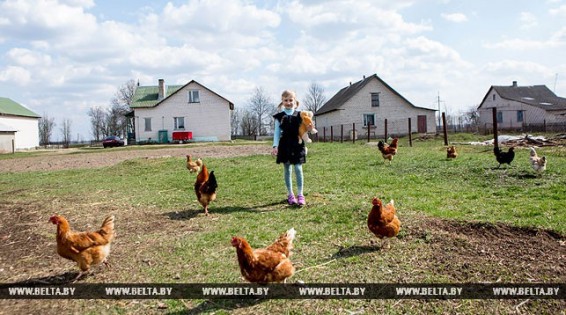 Венесуэла просит построить еще пять агрогородков по белорусской модели