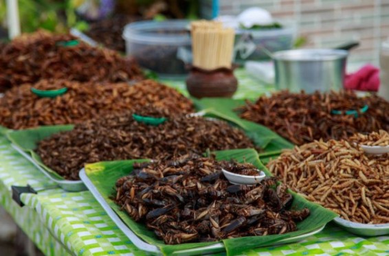 ԵՄ-ում այսուհետ կթույլատրվի միջատներն օգտագործել սննդի մեջ