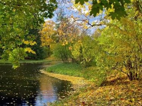 Նոյեմբերի կլիմայական բնութագիրը եւ ամսական կանխատեսումը