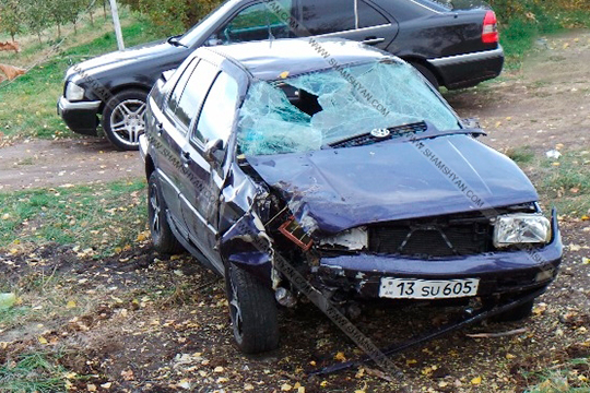 32-ամյա կին վարորդը խույս տալով շանը հարվածելուց, բախվել է ծառին, այն արմատախիլ արել և հայտնվել դաշտում