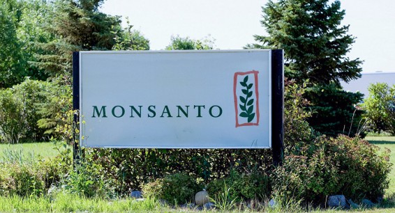 В Армению везут яды Monsanto: сладких армянских помидоров больше не будет?