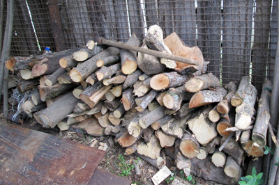 Ռուսաստանի Արխանգելսկի շրջանից անտառափայտ կներմուծեն Հայաստան