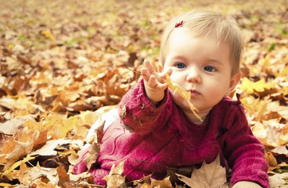 Սպասվում է առանց տեղումների եղանակ