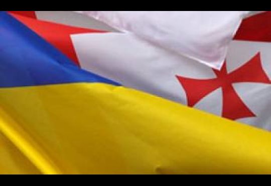 Эстония поднимет вопрос об отмене виз для Украины и Грузии на министериале ЕС