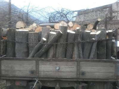 Մեկ շաբաթվա ընթացքում շրջակա միջավայրին հասցված վնասի չափը կազմել է շուրջ 60 մլն դրամ