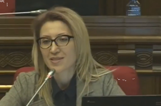 Video. Հանրագրերը գործողության վերածելու որևէ լծակ չկա. Մանե Թանդիլյան