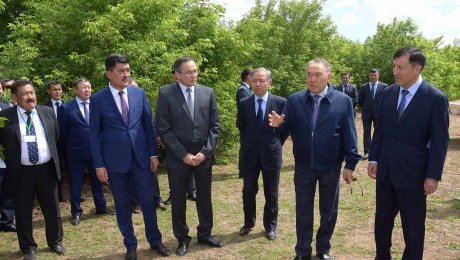Назарбаев: В 2017 году астанинский лес соединится с национальным парком Боровое