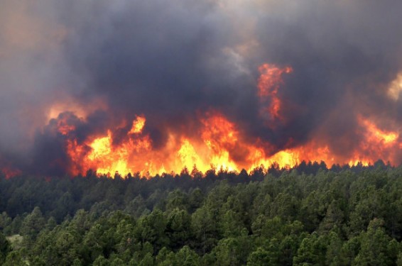 Թրամփն արտակարգ դրության ռեժիմ է հայտարարել Կալիֆորնիայում