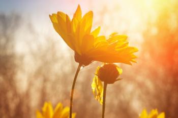 Առաջիկա 5 օրվա եղանակի կանխատեսում