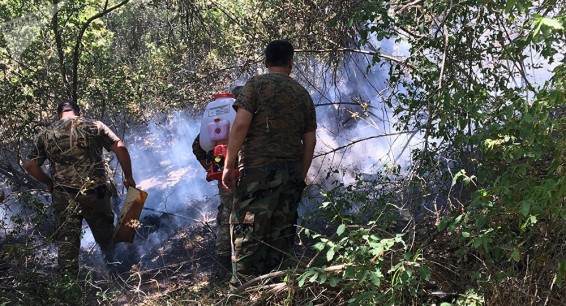 Трагедия Хосровского леса может повториться - министр подводит итоги