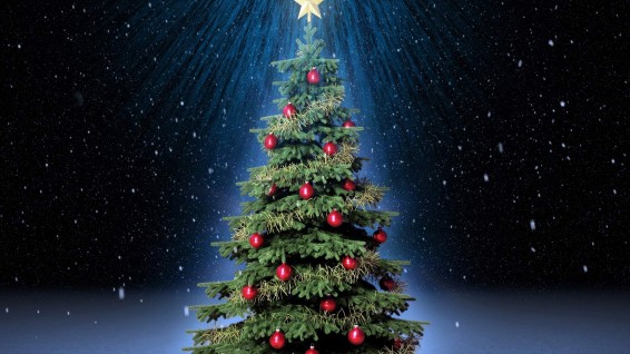 Աշխարհի 11 ամենադիտարժան տոնածառները