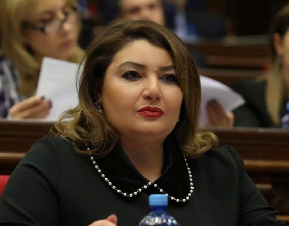 Թույլ տվեք ինքներս որոշենք. Իվետա Տոնոյանը՝ Արմեն Սարգսյանի հետ հանդիպման ձևաչափի մասին