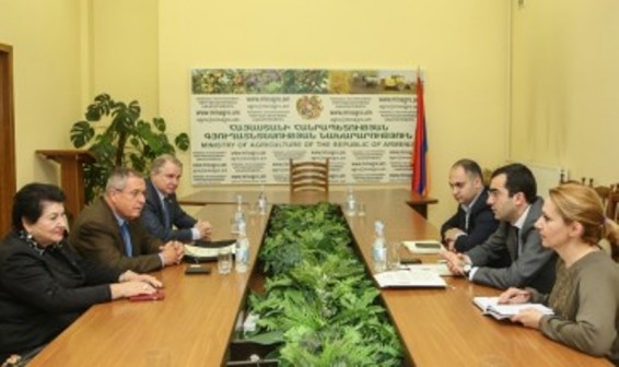Քննարկվել են իսրայելական Գալիլեե միջազգային կառավարման ինստիտուտի հետ համագործակցության հարցերը