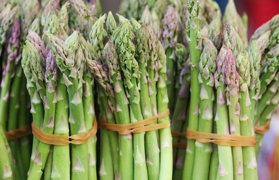 Ծնեբեկ` առողջ և օգտակար