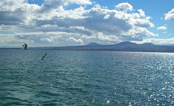 Հուլիսի 1-ին Սևանում տեղի կունենա ամառային լողաշրջանի  հանդիսավոր բացումը