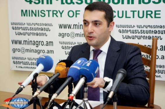 Վերջին 5 տարում միջազգային համագործակցության շնորհիվ գյուղոլորտի ֆինանսավորումն ավելացել է 117%-ով. փոխնախարար