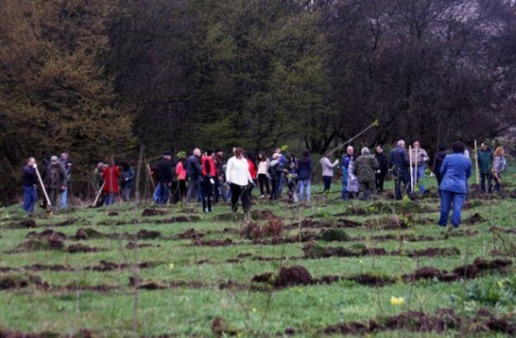 Հայաստանում ապրիլի 14-ին 36 հազար ծառ է տնկվել. Բնապահպանության նախարարությունը ծառատնկի միամսյակ է անցկացնում