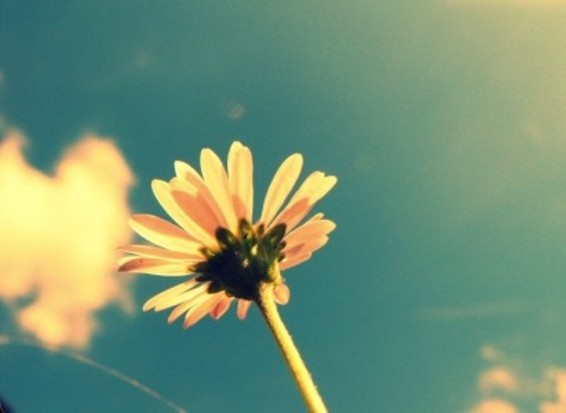 Եղանակը Հայաստանում  հուլիսի 5-ին