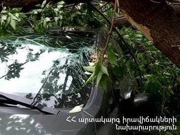 Փրկարարները հեռացրել են ծառի ճյուղը ավտոմեքենայի վրայից