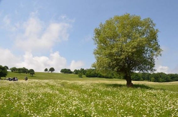 Օրվա խորհուրդ