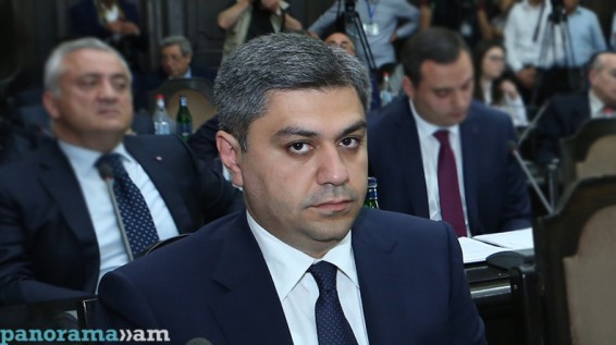 Глава СНБ Армении призвал экологов заняться животными из зоопарка задержанного генерала-депутата Манвела Григоряна
