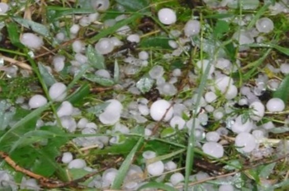 Կարկուտը լուրջ վնասներ է հասցրել Արագածոտնի մարզում