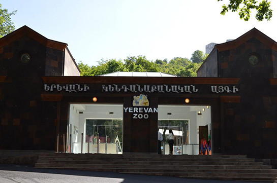 Մանվել Գրիգորյանի՝ Կենդանաբանական այգի տեղափոխված արջերն ու վագրը ողջ են, բայց գտնվում են կարանտինում