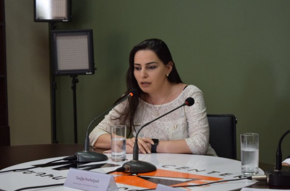 Քաղաքապետի պաշտոնը ստանձնելու հավակնություններ երբեք չեմ ունեցել. Թեհմինե Վարդանյան