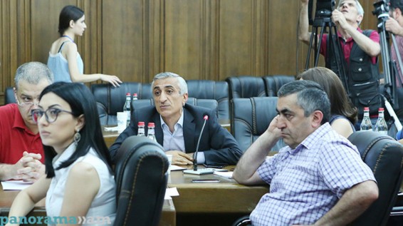 Սա էլ էլ հո կոշիկի արտադրություն չէ, ՀՆԱ-ի տոկոսի աճ չէ. Սպարտակ Սեյրանյան
