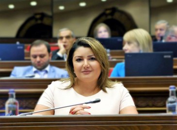 «Մուլտի Գրուպ Կոնցեռն» ընկերությունը որևէ ապօրինի շինարարություն չի իրականացնում․ Ի․ Տոնոյան․ Tert.am
