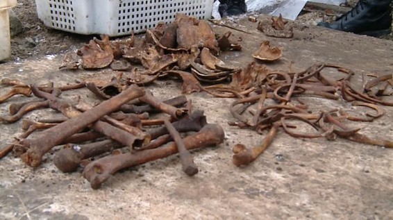 Բրեստում 600 մարդու մասունքներ են գտել