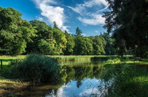 Նիդեռլանդներում կհայտնվի երկրի խոշորագույն ազգային բնայգին