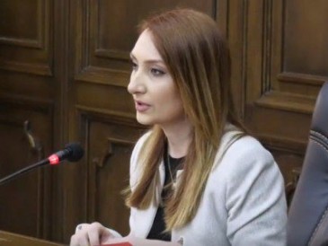 Վերջին 10 տարվա կտրվածքով բռնության դեպքերը ընտանիքներում նվազել են. Մակունց