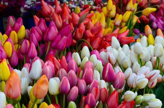 Առաջիկա 5 օրվա եղանակի կանխատեսում