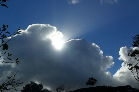 Օդի ջերմաստիճանն առաջիկա օրերին աստիճանաբար կնվազի 5-6 աստիճանով. որոշ շրջաններում սպասվում է ձյուն