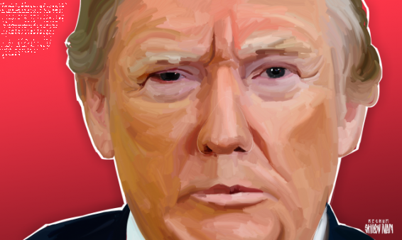 Трамп повелел: сделаем Израиль и Бразилию снова великими