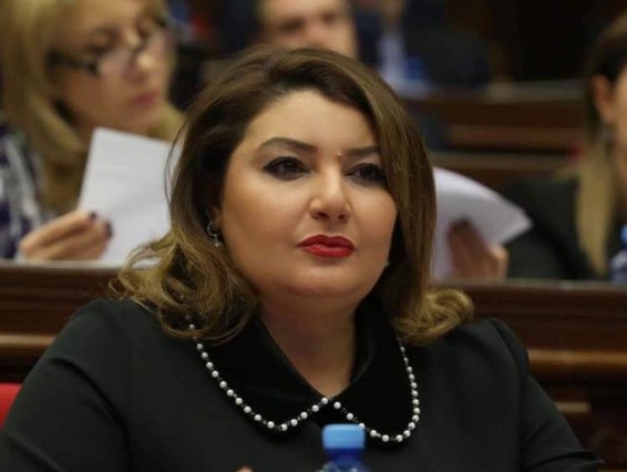 Պետք է քննարկել կուրսային, դիպլոմային վաճառող կազմակերպությունների լինել-չլինելու հարցը, այլ ոչ թե գովազդի սահմանափակումը. Իվետա Տոնոյան
