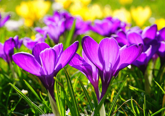 Եղանակը Հայաստանում