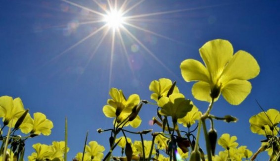 Օդի ջերմաստիճանը կբարձրանա