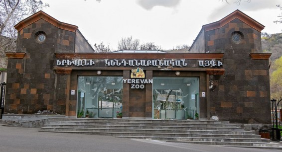 Акция протеста перед Ереванским зоопарком: участники требуют отставки директора