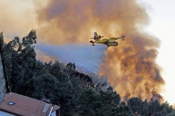 Իտալիայում երկու ուսանողների պատրաստած խորովածը 13 մլն եվրո է արժեցել