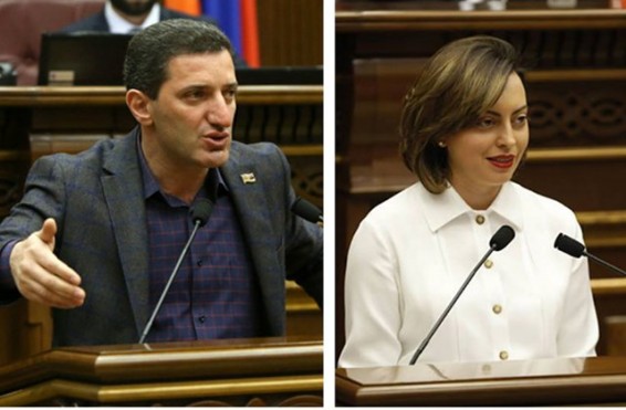 «Հավատացեք, եթե ես Լենա Նազարյանին կամ մյուսներին հորդորեի, ասեի՝ ոտքով բարձրացեք Մասիս սարը և մի բուռ ձյուն բերեք, դա իրենց համար ավելի ցանկալի գործ կլիներ, քան օրենքներ կարդալը». Գևորգ Պետրոսյան