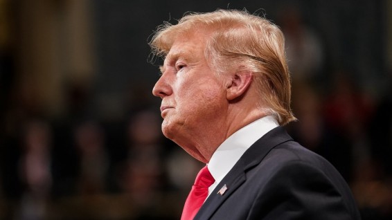 Трамп поздравил Зеленского с «блестящей победой»