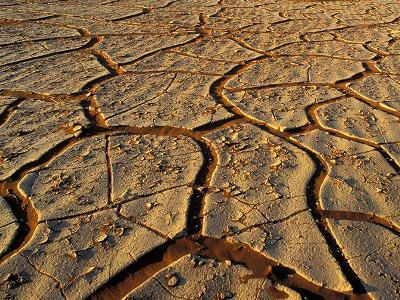 Նամիբիայում երաշտի պատճառով արտակարգ դրություն են հայտարարել