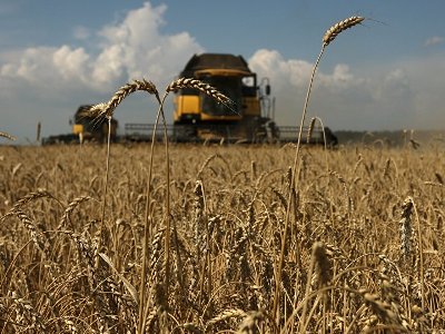 Հայաստանը ձգտում է գյուղատնտեսությունը վերածել եկամտի կայուն աղբյուրի. փոխնախարար