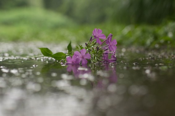 Ինչ եղանակ է սպասվում հունիս ամսին