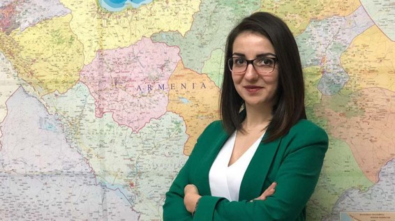 Анна Карапетян: От визита главы МИД Армении на Кипр нужно ожидать четких результатов