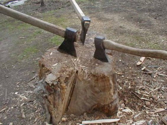 Բացահայտվել է Դսեղում կատարված ապօրինի ծառահատման դեպք